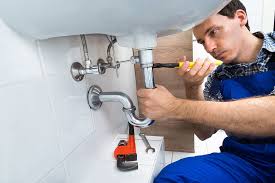 Best Trenchless Pipe Repair  in Stlman Valley, IL